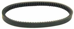 Best deal 💯 Rotary Corp 2 Torque Converter Belt Replaces Comet 203783A Size .875 X 31.9" Fits Manco 2433 ⭐